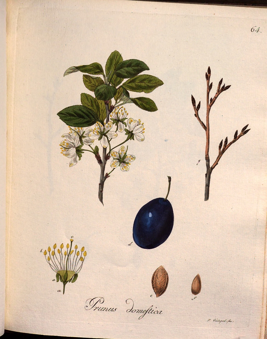 no HD illustration available (3)