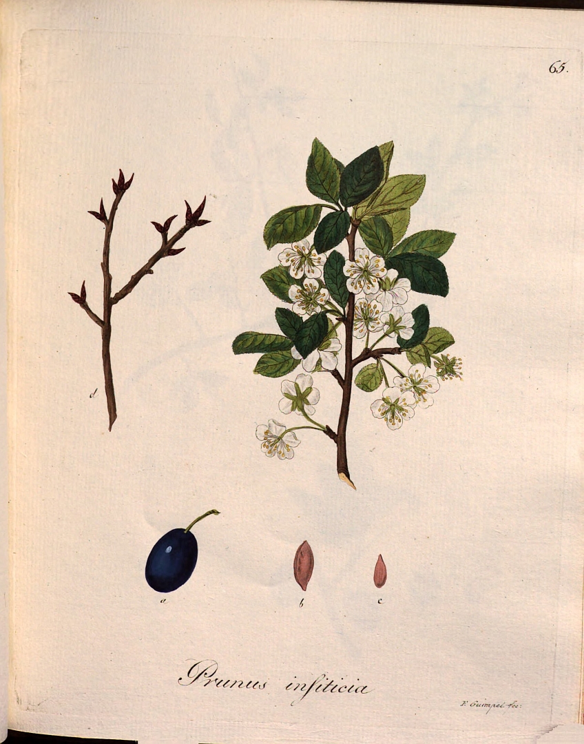 no HD illustration available (3)