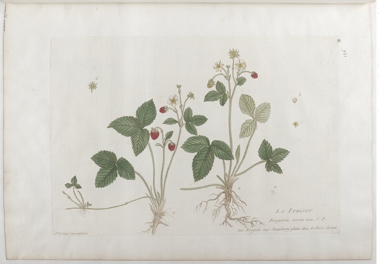 no HD illustration available (3)