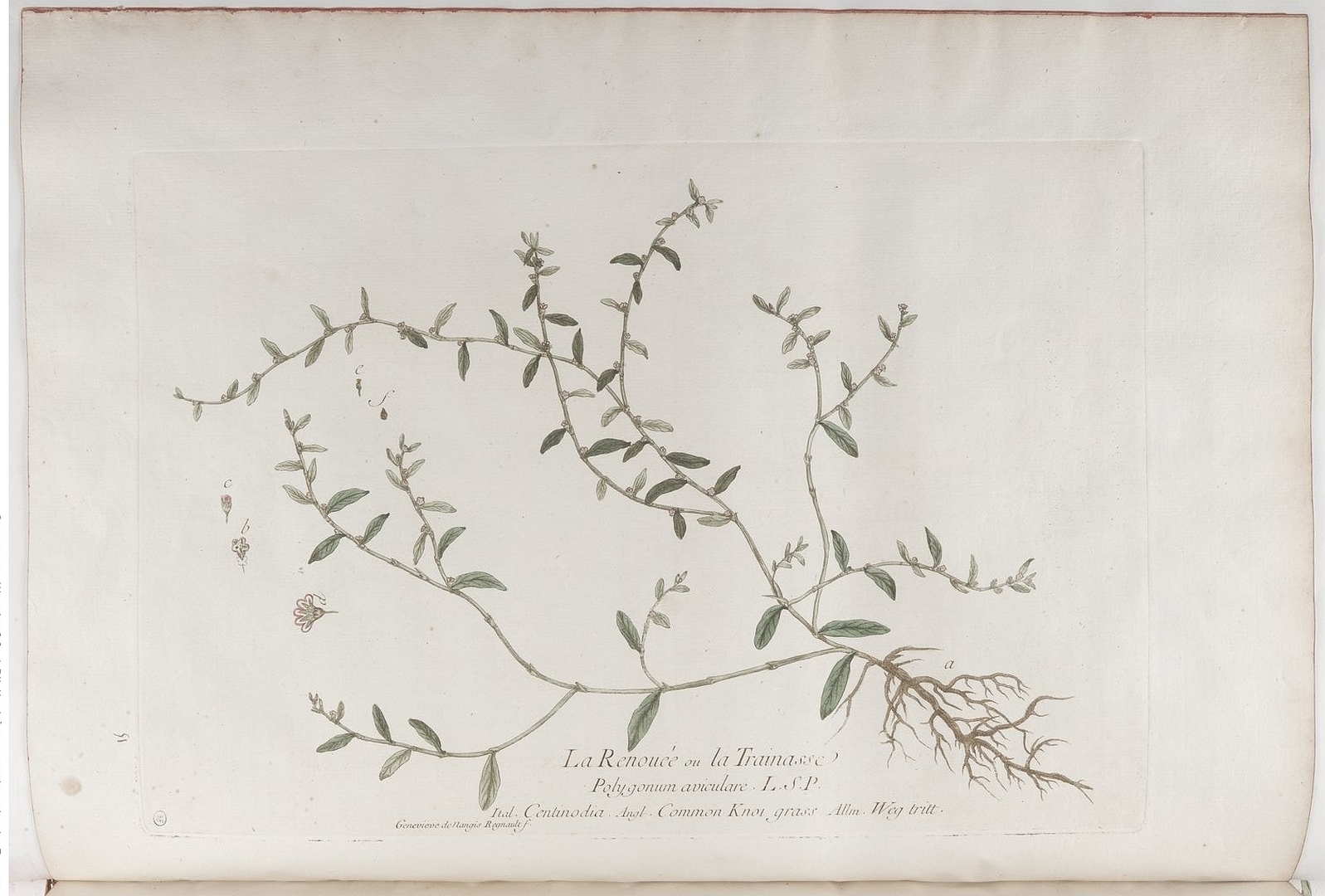 no HD illustration available (3)