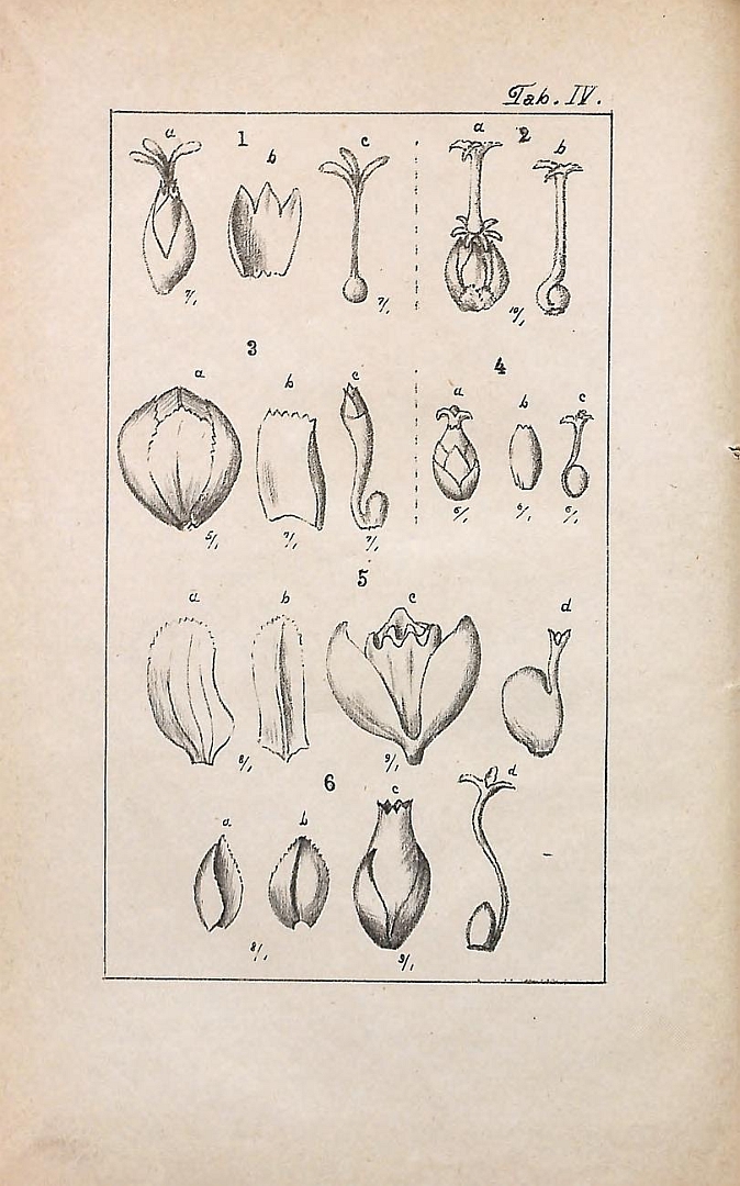 no HD illustration available (3)