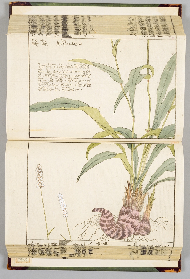 no HD illustration available (3)