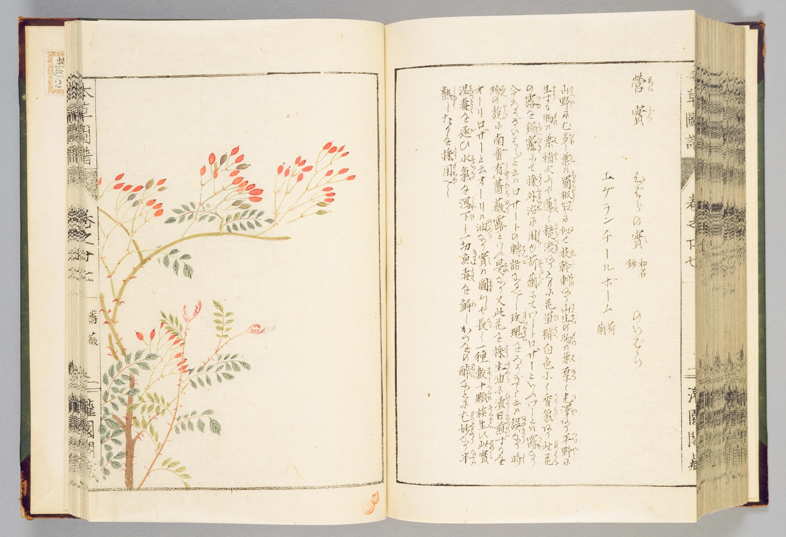 no HD illustration available (3)