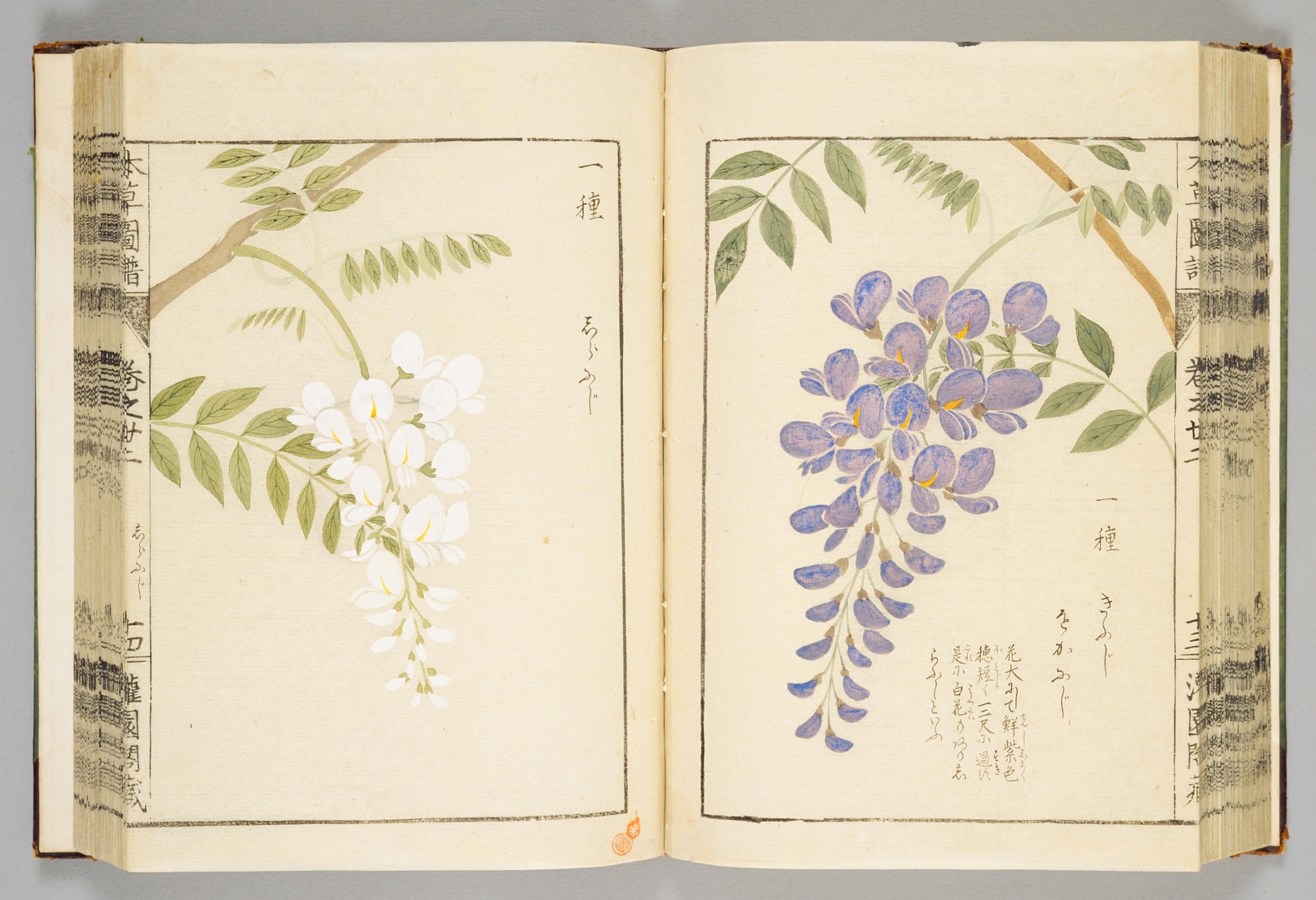 no HD illustration available (3)