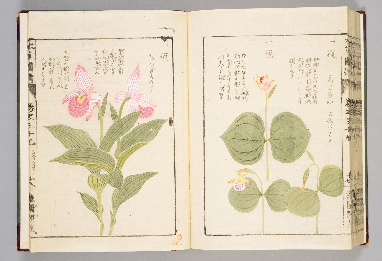 no HD illustration available (3)