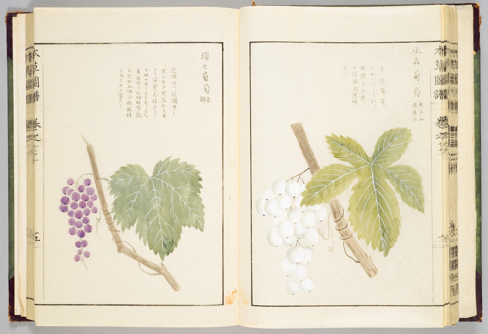 no HD illustration available (3)