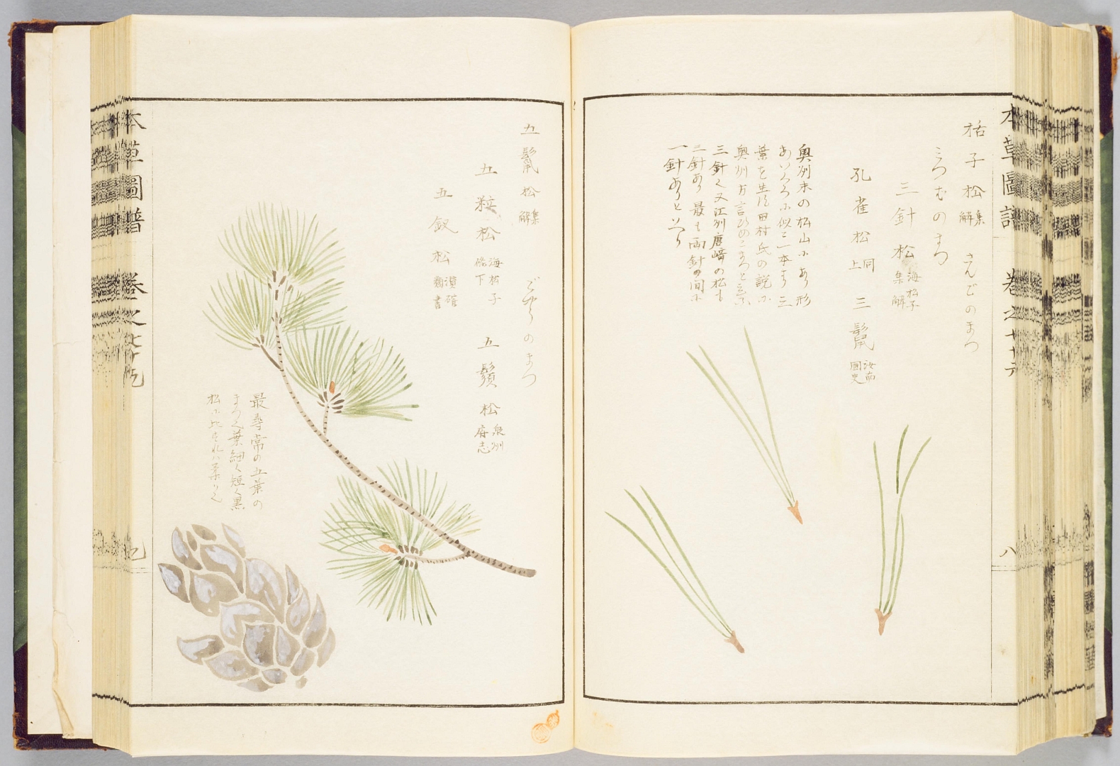 no HD illustration available (3)