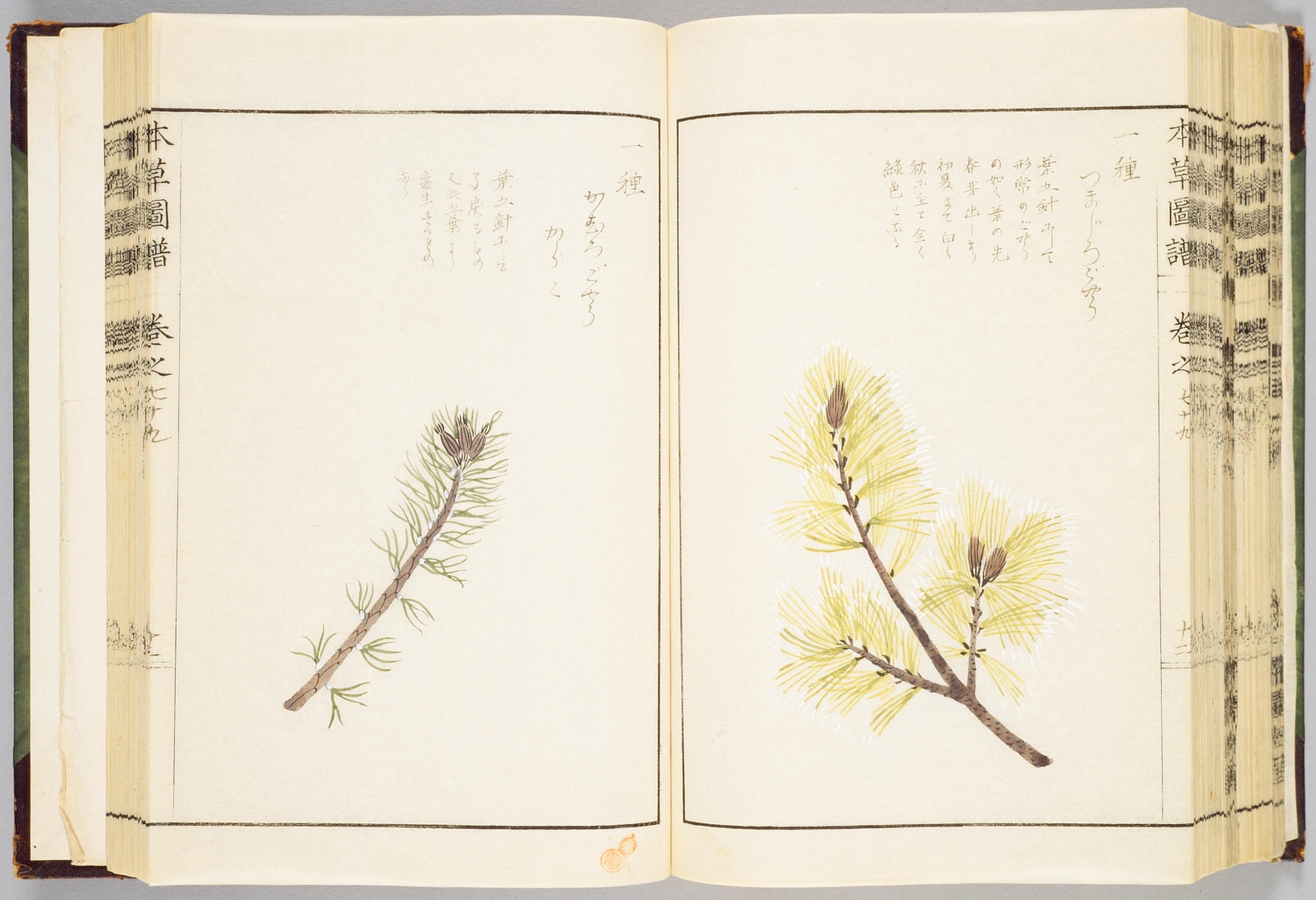 no HD illustration available (3)