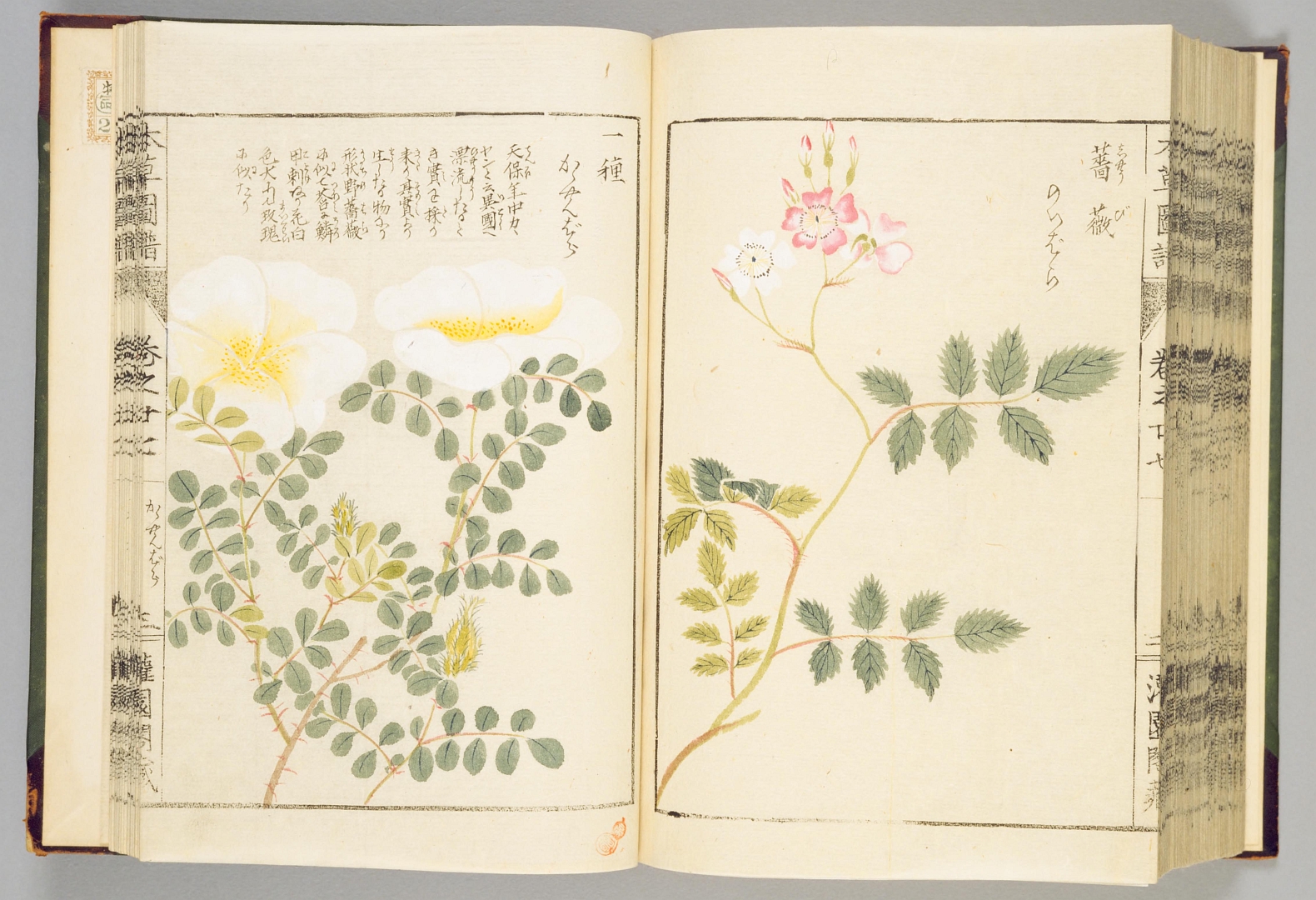 no HD illustration available (3)