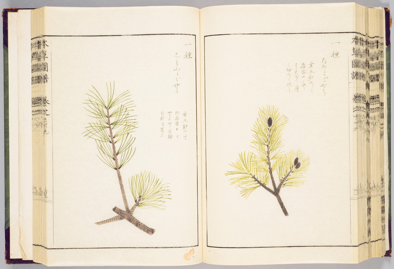 no HD illustration available (3)