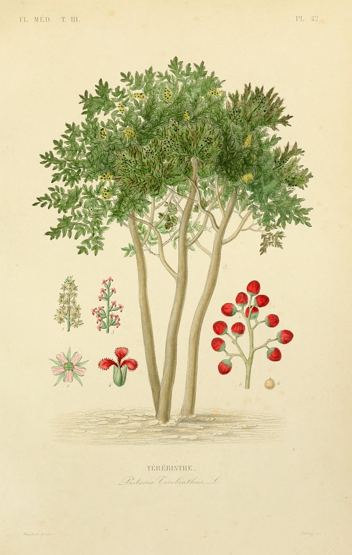 no HD illustration available (3)