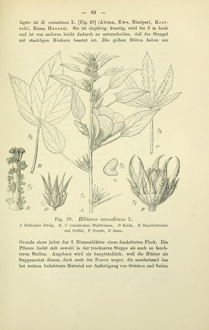 no HD illustration available (3)