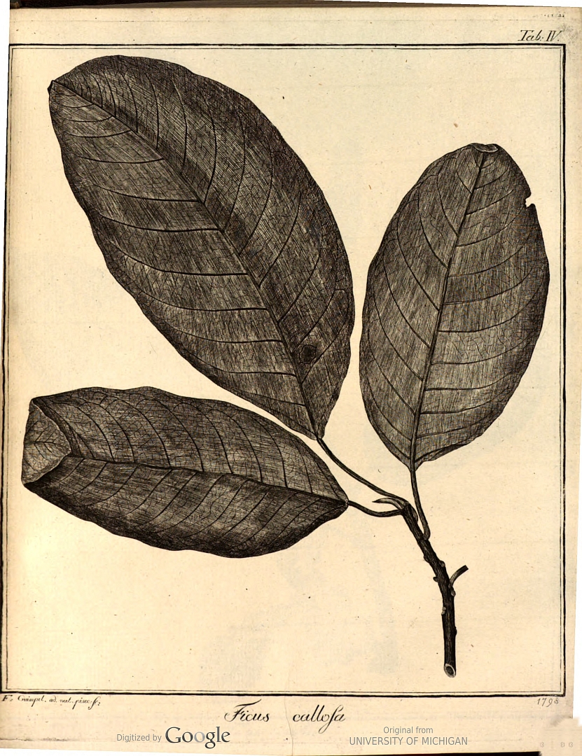 no HD illustration available (3)