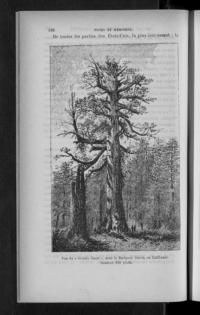 no HD illustration available (3)