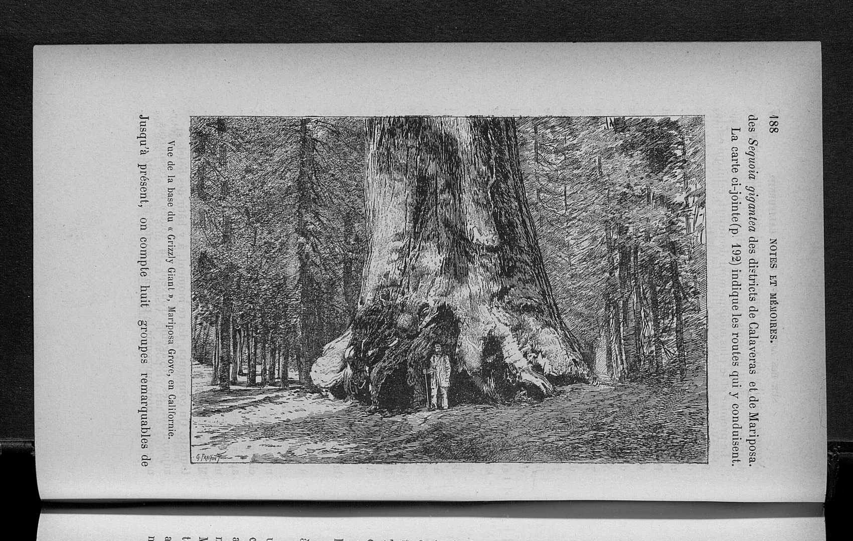 no HD illustration available (3)