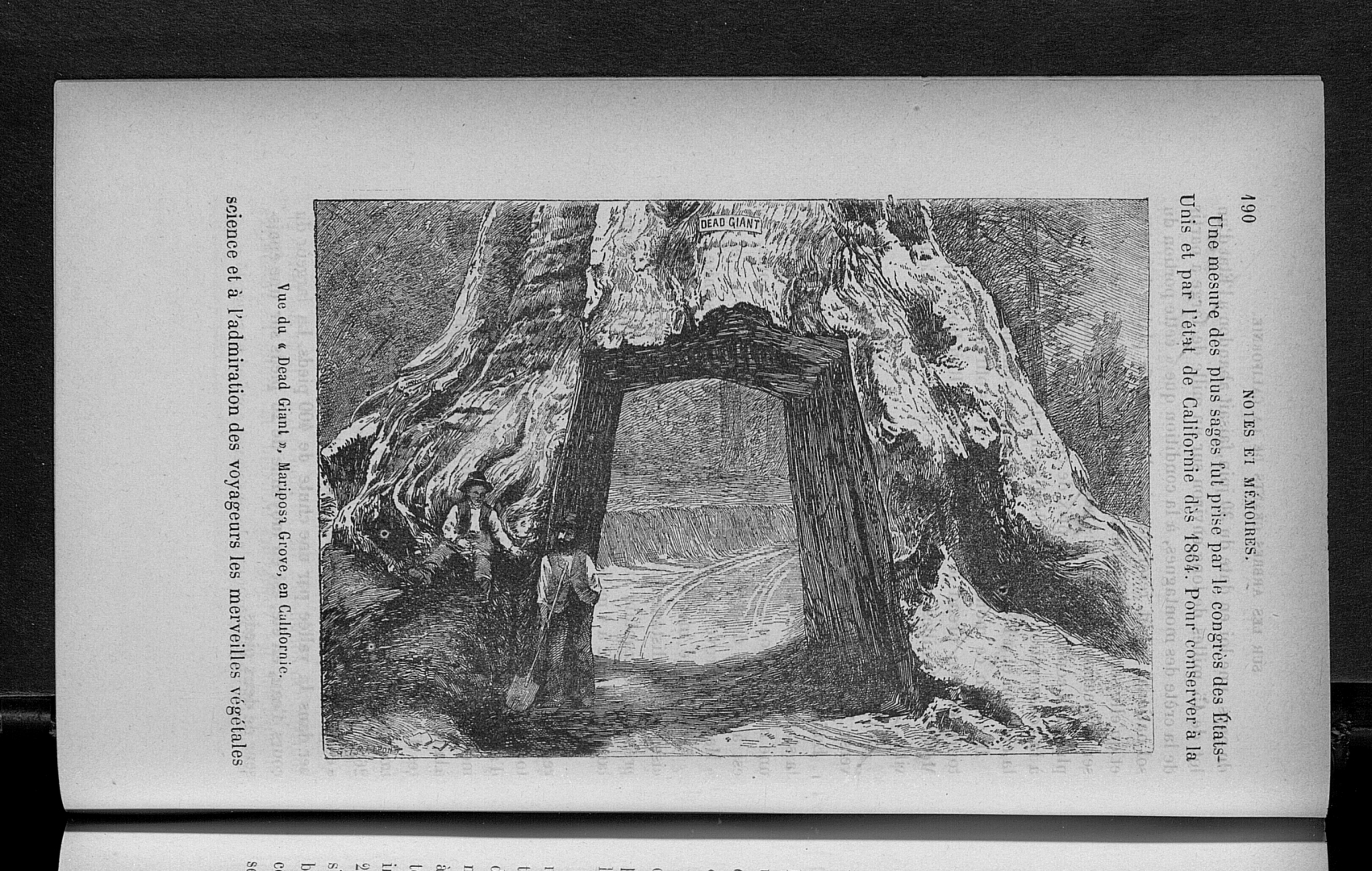 no HD illustration available (3)