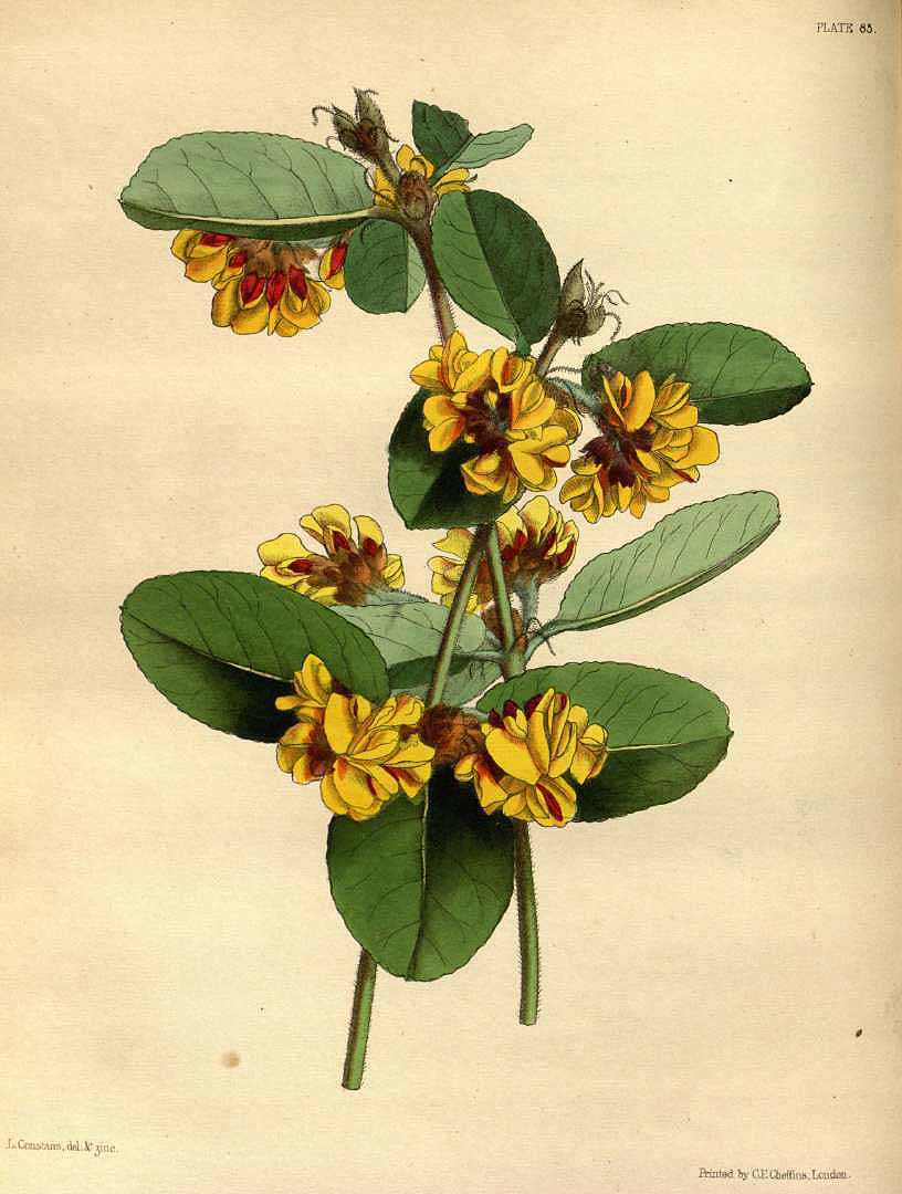 no HD illustration available (3)