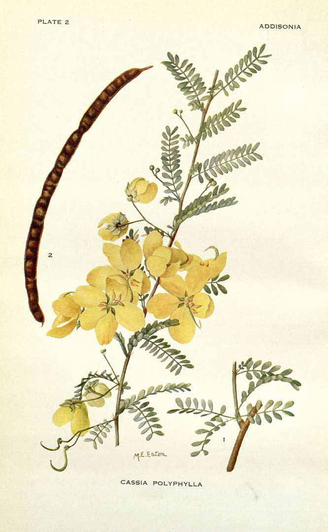 no HD illustration available (3)