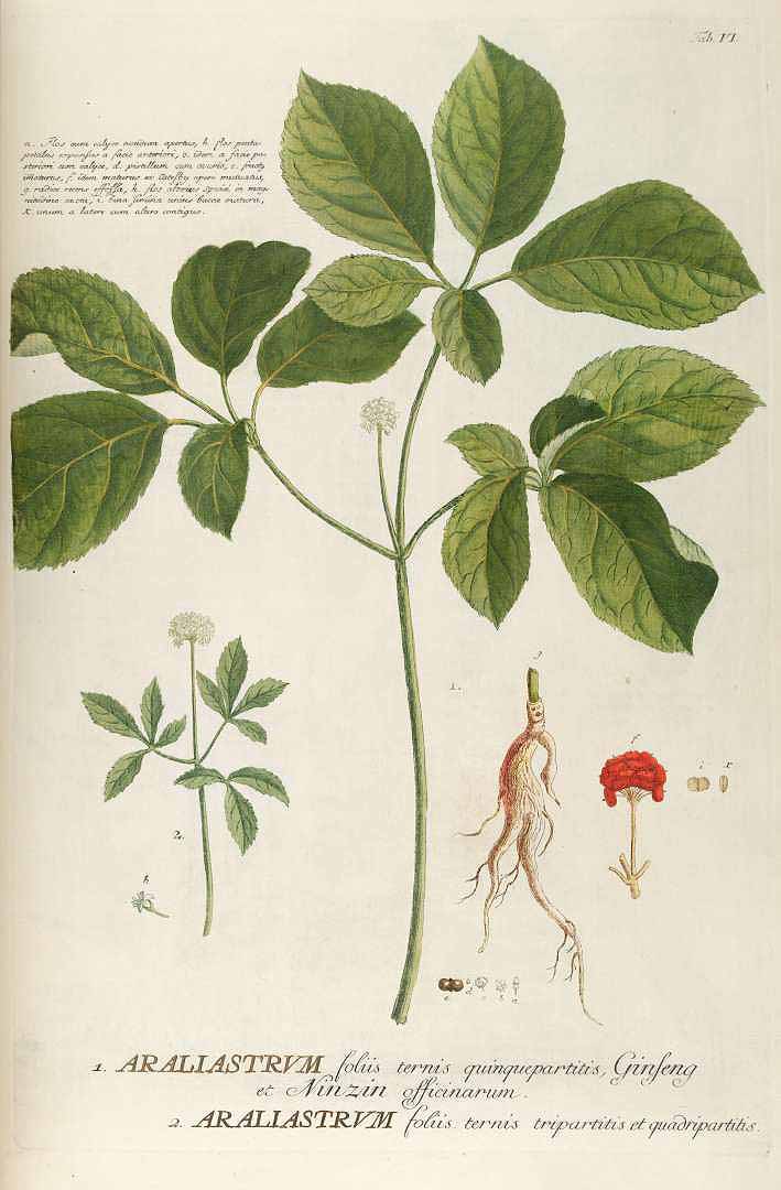 no HD illustration available (3)