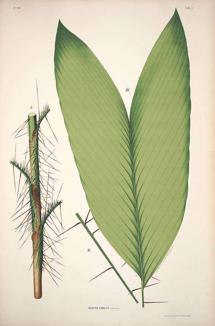 no HD illustration available (3)