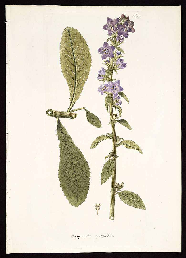 no HD illustration available (3)