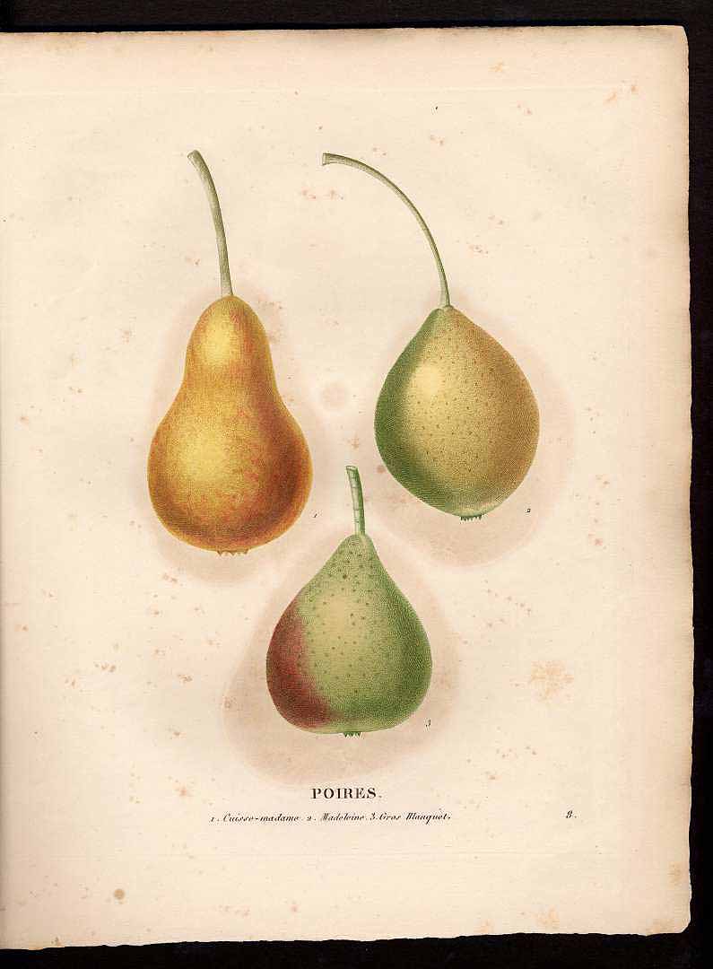 no HD illustration available (3)