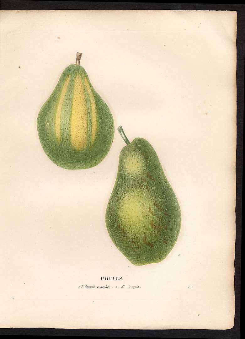 no HD illustration available (3)