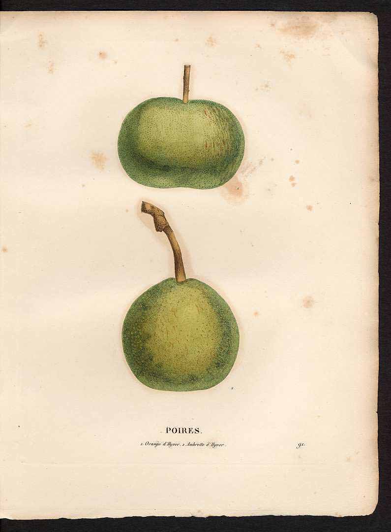 no HD illustration available (3)