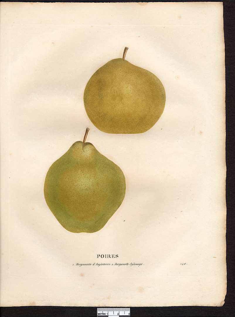 no HD illustration available (3)