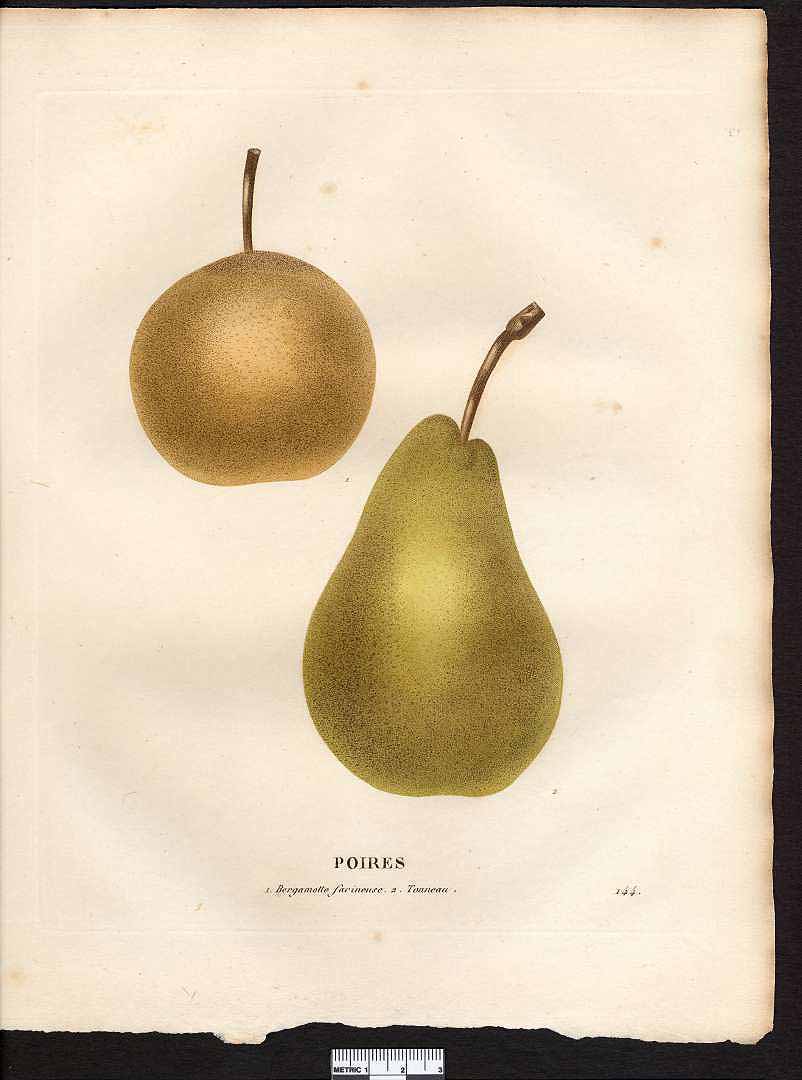 no HD illustration available (3)