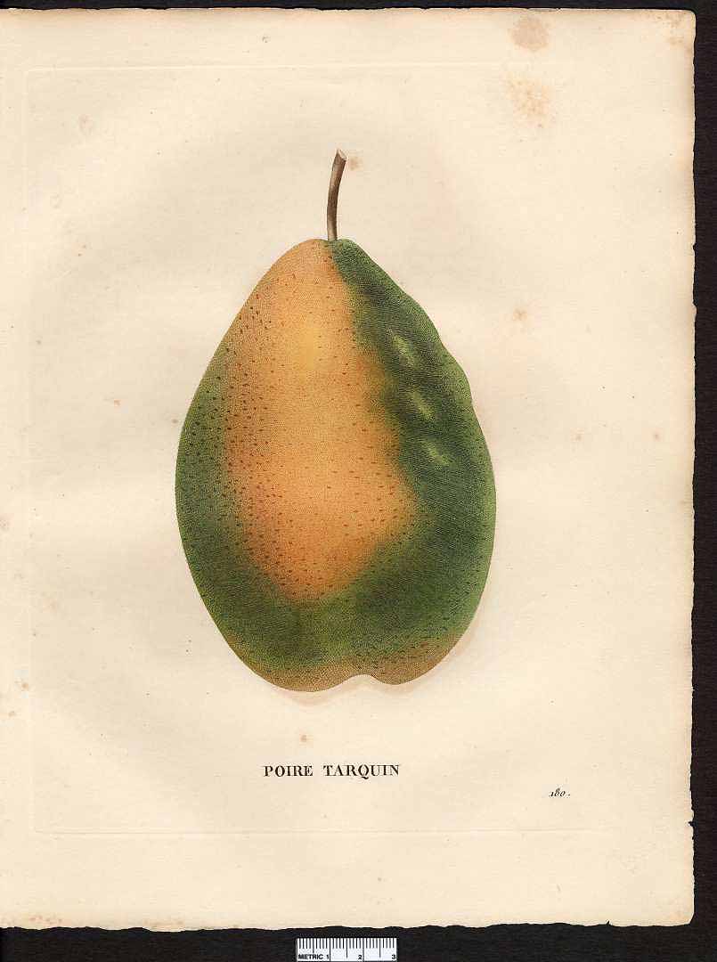 no HD illustration available (3)