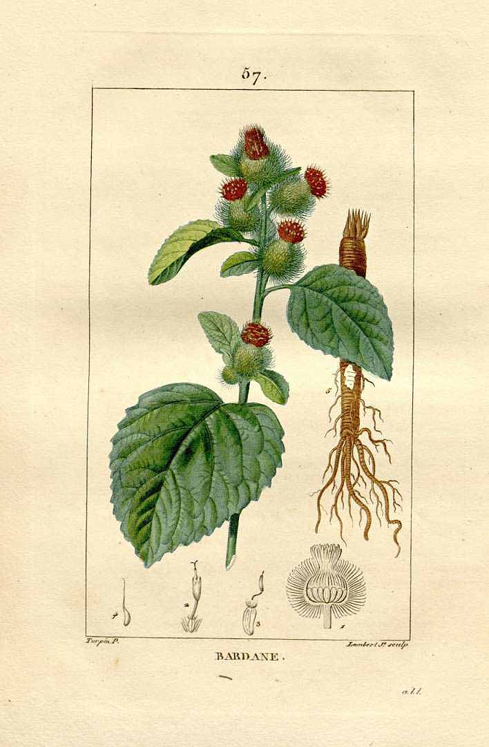 no HD illustration available (3)