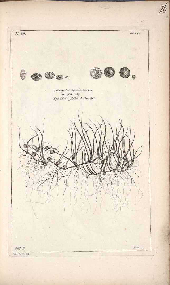 no HD illustration available (3)