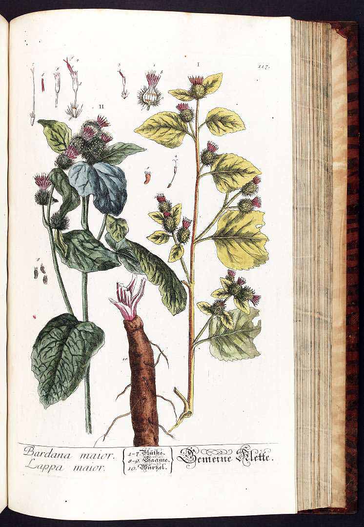 no HD illustration available (3)