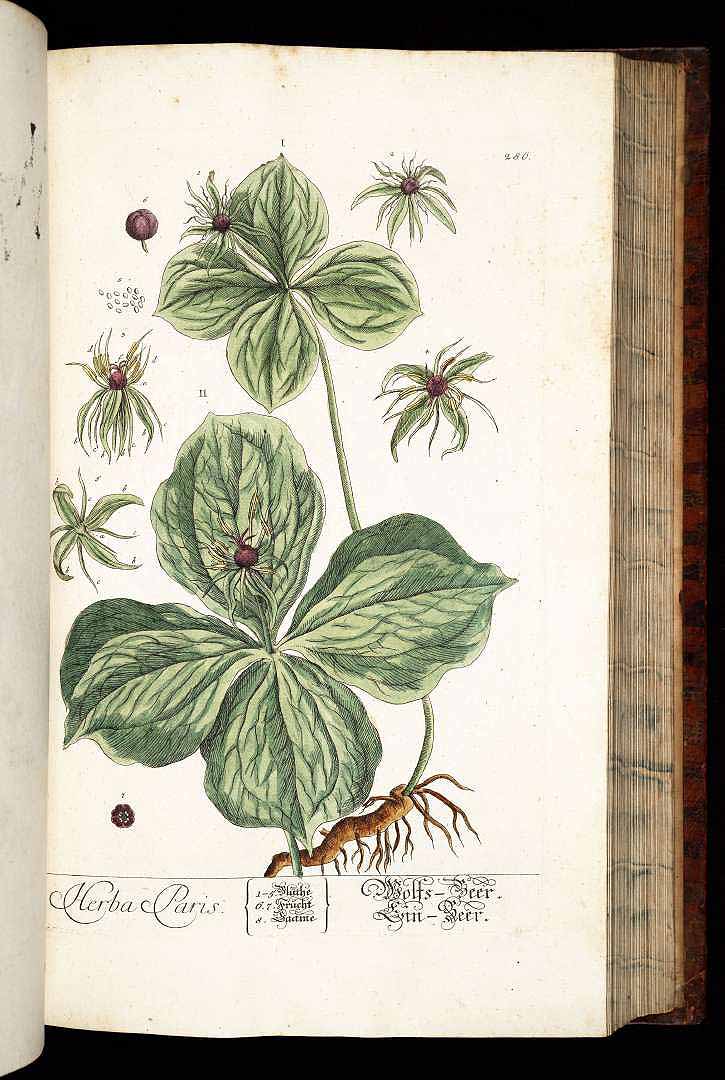 no HD illustration available (3)