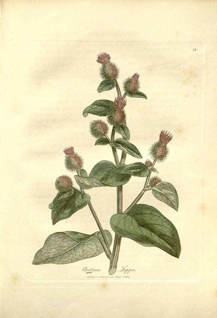 no HD illustration available (3)