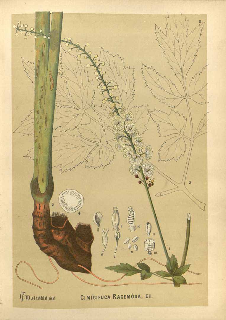 no HD illustration available (3)