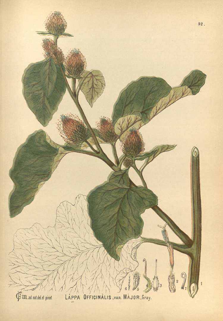 no HD illustration available (3)