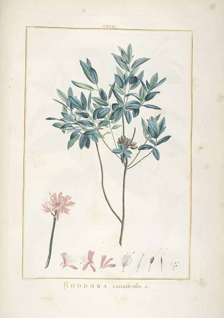 no HD illustration available (3)