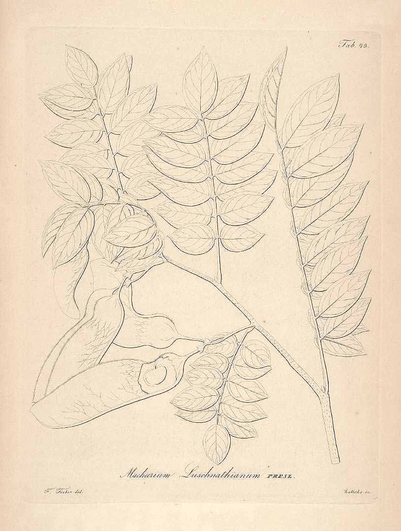 no HD illustration available (3)