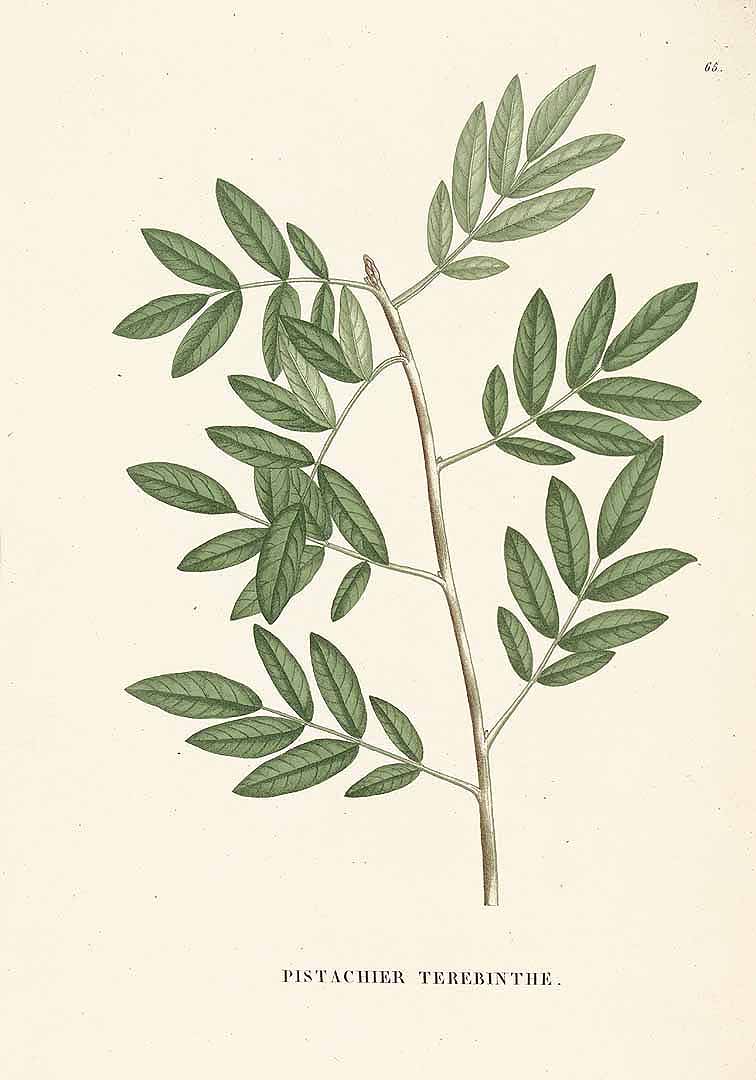 no HD illustration available (3)