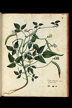 no HD illustration available (5) 