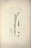  no thumbnail available