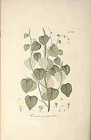  no thumbnail available