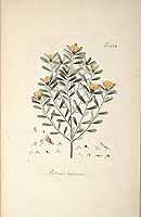  no thumbnail available