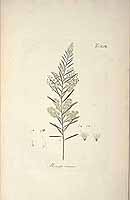  no thumbnail available