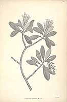  no thumbnail available