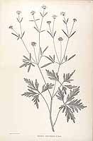  no thumbnail available