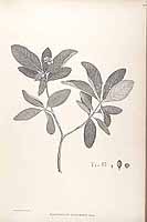  no thumbnail available