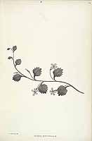  no thumbnail available